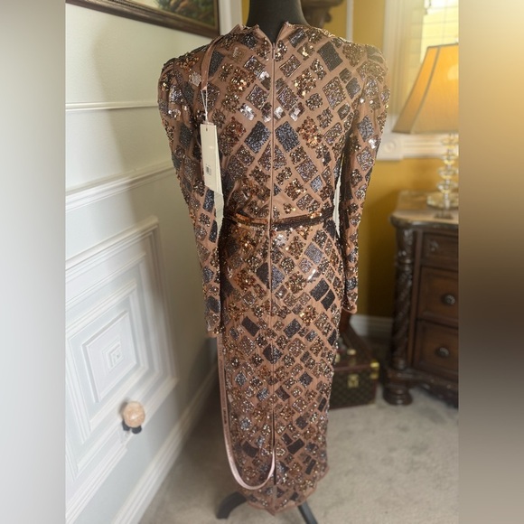 Brown Geo Embellished Midi Sheath Dress - Picture 5 of 15